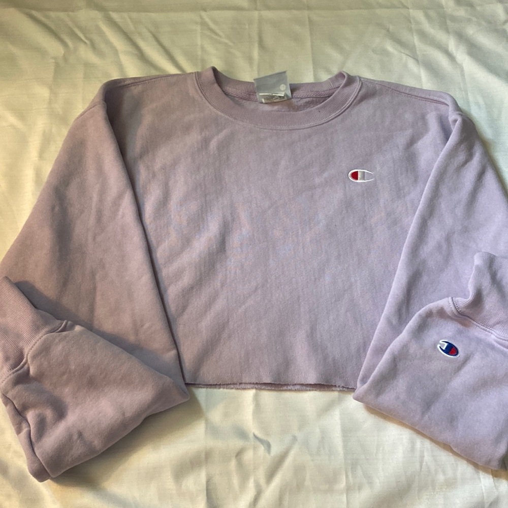 Adorable Cropped Champion Crewneck